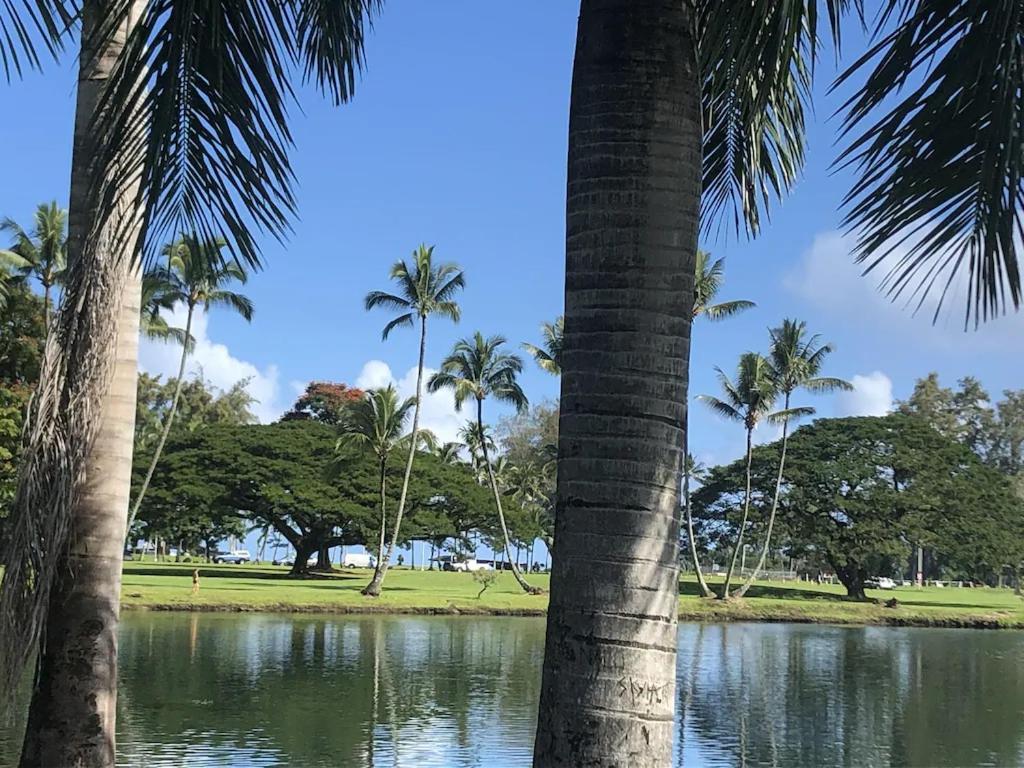 Stunning Views Best Location In Hilo 2Br Modern Condo Εξωτερικό φωτογραφία